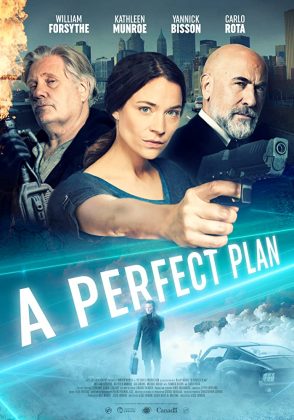 فيلم الاكشن والجريمة A Perfect Plan 2020 مترجم اونلاين